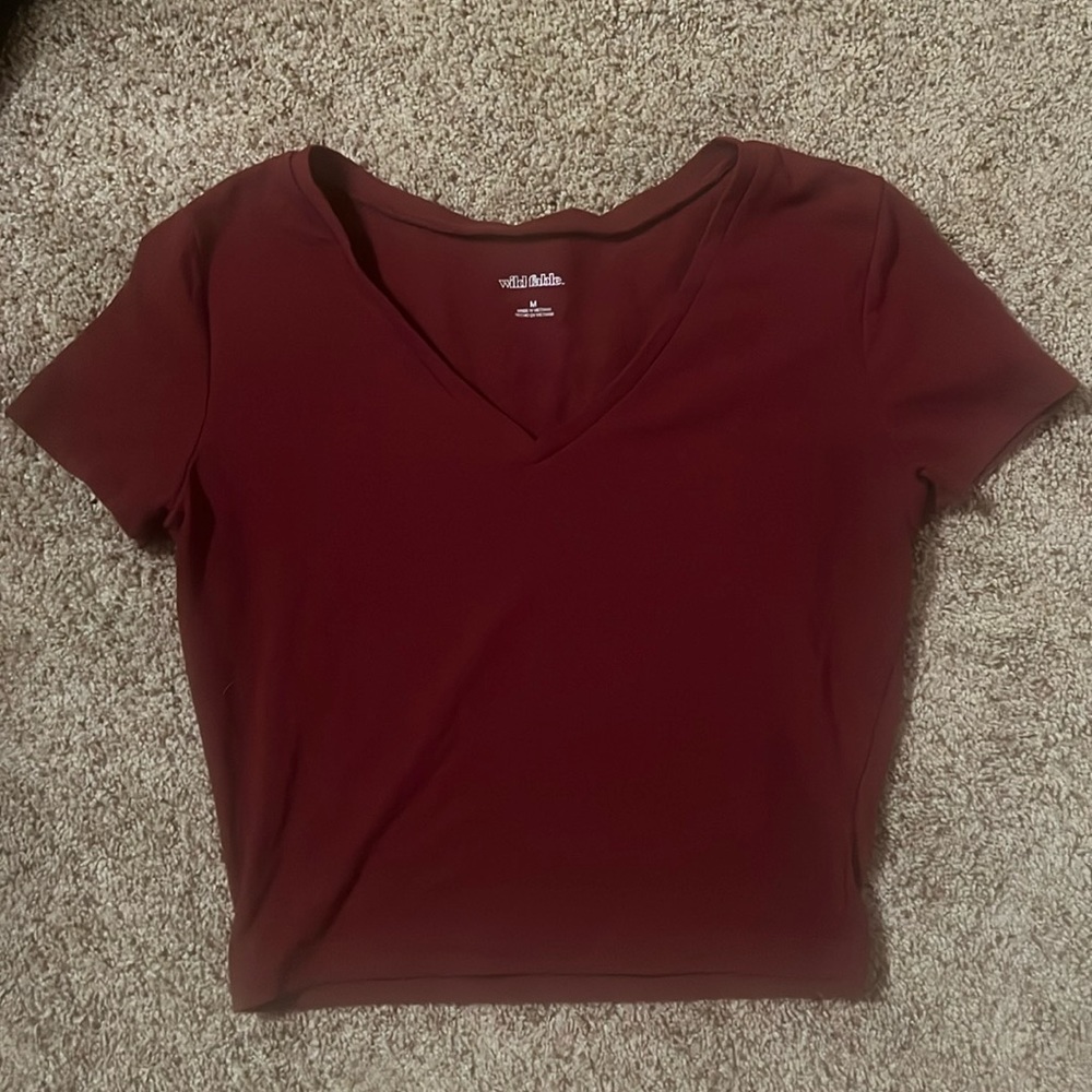 Wild Fable Crop Top-maroon